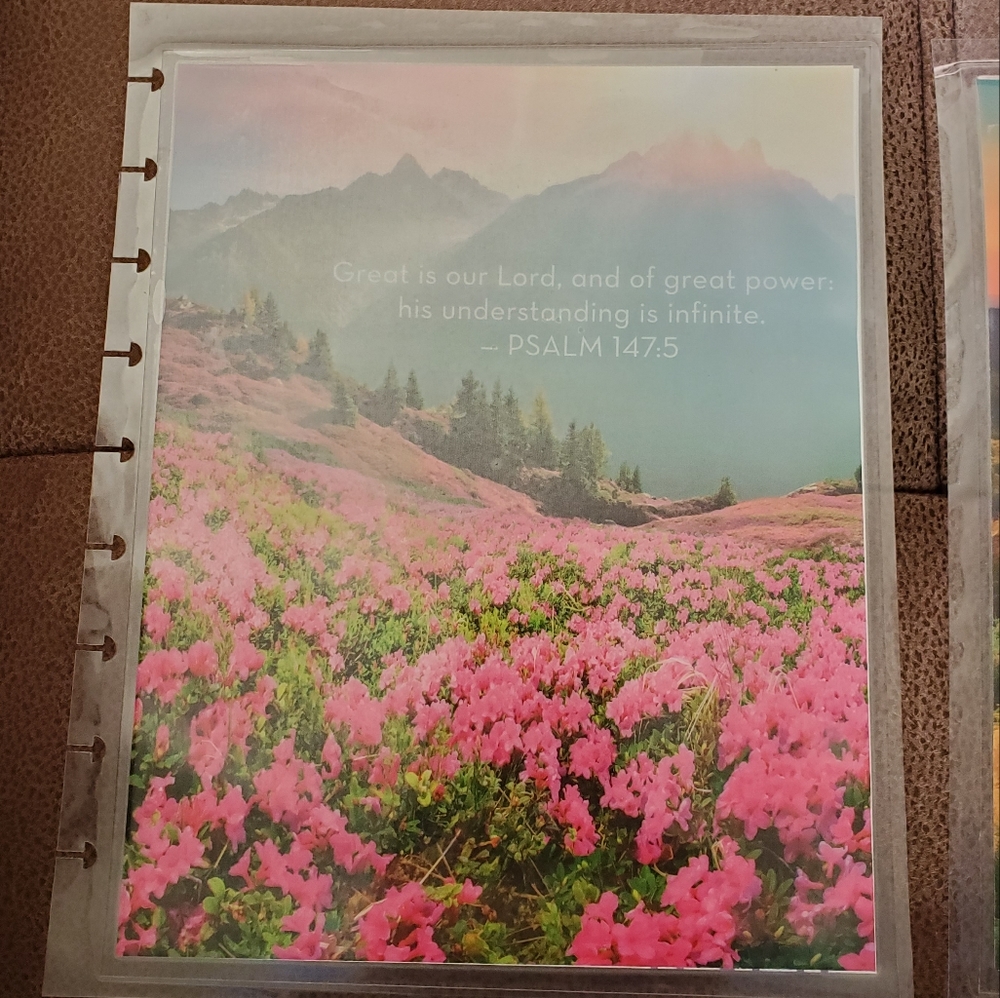 Handmade cover For A Classic Sized Disc Bound Planner mountain scenery